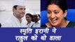 Smriti Irani trolls Rahul Gandhi in just 3 tweets | वनइंडिया हिन्दी