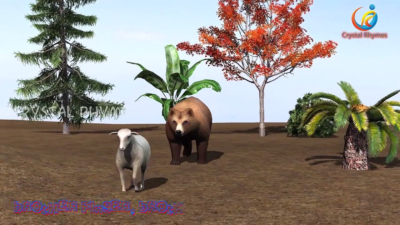 Lion,Tiger,Cheetah Finger Family 3d animals animated English rhymes Collection 2 hours vid