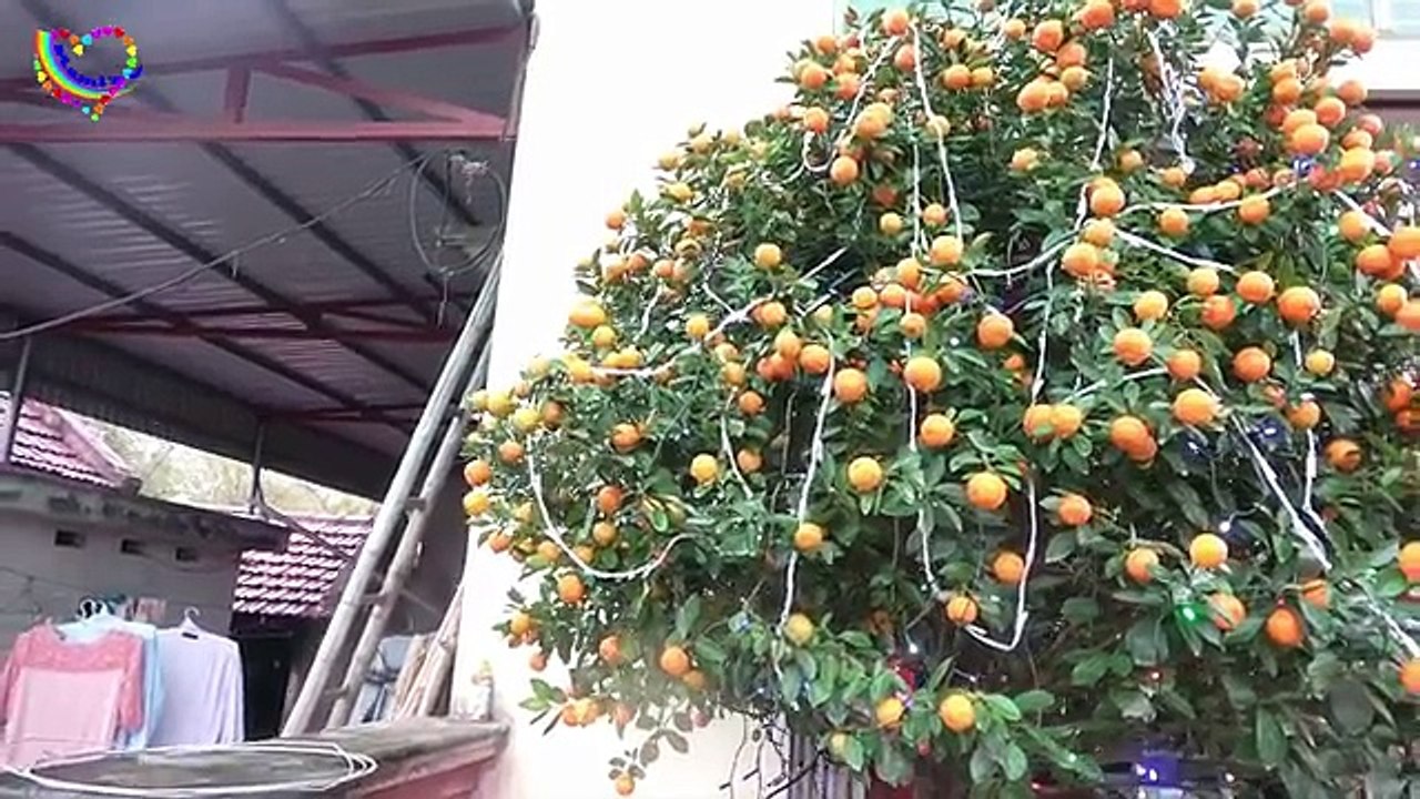 Spiderman TOY STORE Shopping Toys Monster Trucks For Kids w/ Frozen Elsa, Hulk & Joker in