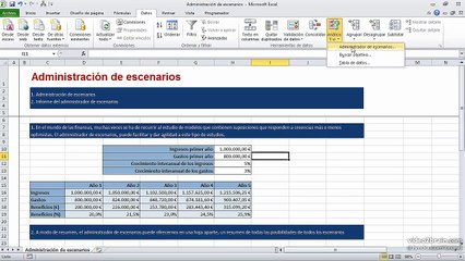 20 Administrador de escenarios en Excel 0604