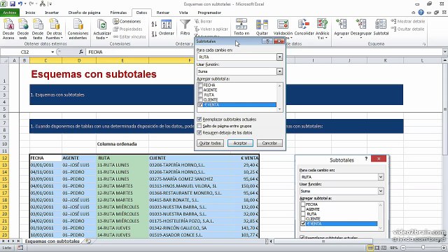 22 Esquemas con SUBTOTALES 0210