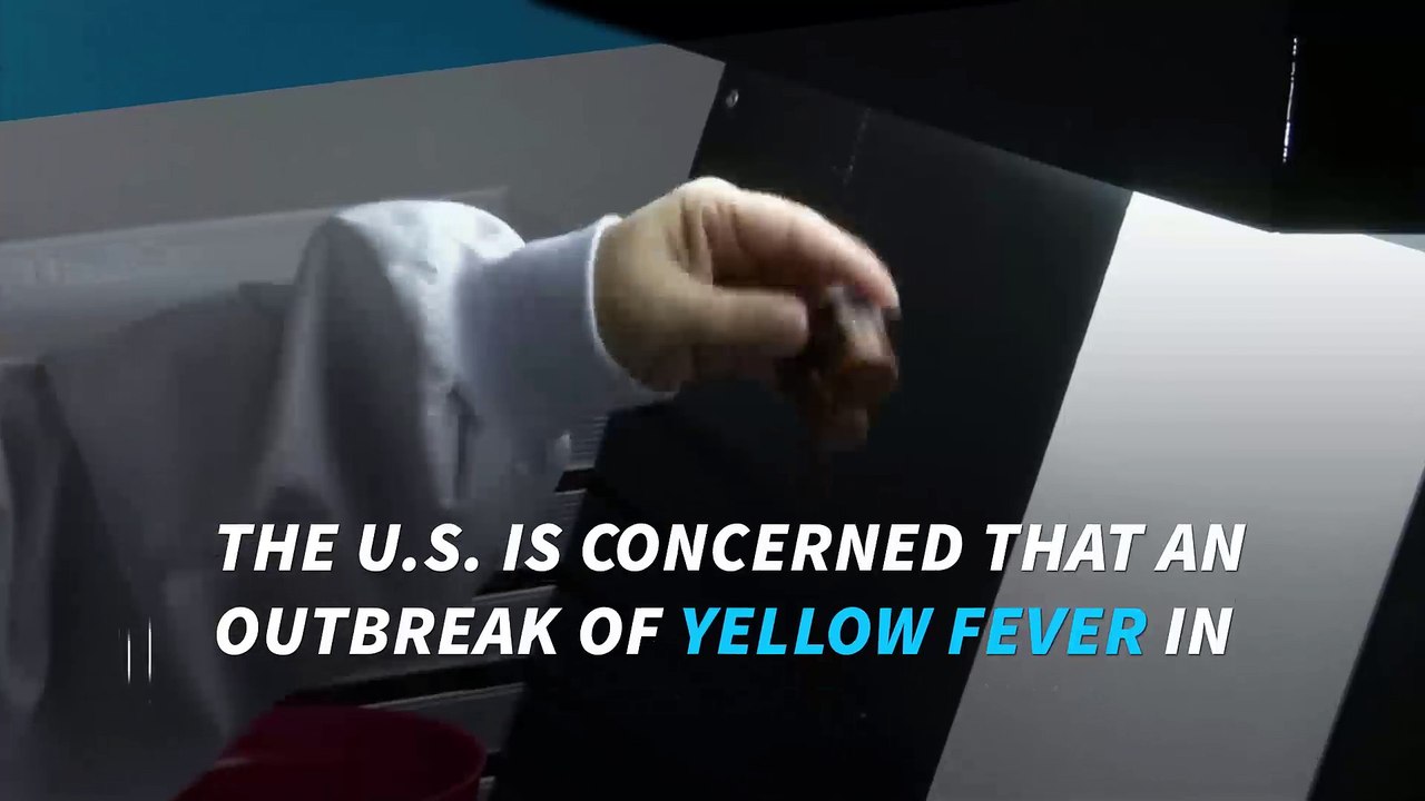Yellow fever outbreak in Brazil worries the U.S.