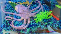 ANIMAL PLANET MEGA OCEAN TUB SHARKS DOLPHINS TURTLES SEAHORSE STARFISH OCTOPUS WHALE CRAB - UNBOXING-xw7