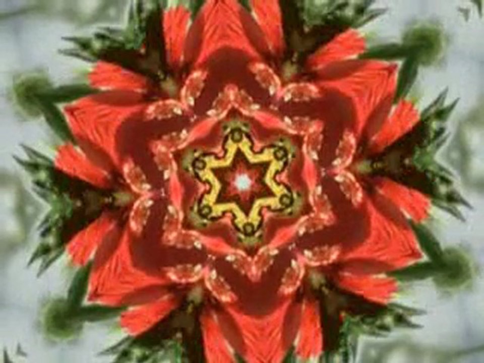 Friedrich Liechtenstein - Strawberry Red