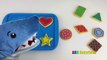 PET SHARK Eats Cookies Learn Shapes with Baking Cookies Toy Playset for Kids ABC Surprises-EzpL6lYK