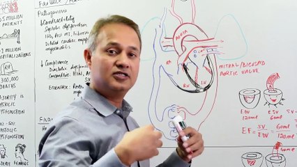 CVS Pathophysiology Heart Failure