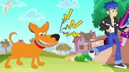 My Little Pony MLP Equestria Girls Transforms into Dog