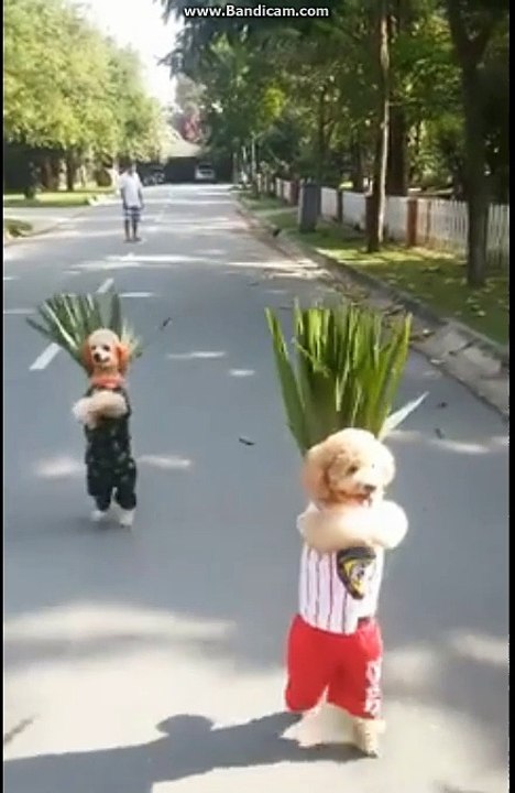 İÇLERİNE İNSAN KAÇMIŞ