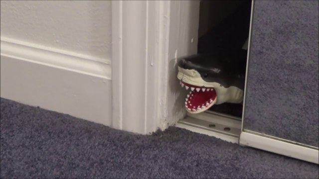 Feeding My Pet Shark Shopkins Season 2 'Toy Freaks Love Shark Week & Sharknado'-vR8