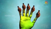 Horse colors Finger Family Nursery Children English Animated 3d Animals animated rhymes