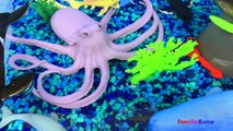 ANIMAL PLANET MEGA OCEAN TUB SHARKS DOLPHINS TURTLES SEAHORSE STARFISH OCTOPUS WHALE CRAB - UNBOXING-xw7X-