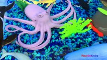 ANIMAL PLANET MEGA OCEAN TUB SHARKS DOLPHINS TURTLES SEAHORSE STARFISH OCTOPUS WHALE CRAB - UNBOXING-xw7X-zcY