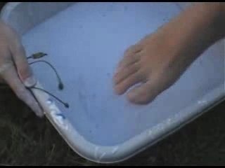 Fluide Non Newtonien