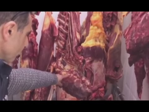 Rosolini (SR) - Sequestrate cinque tonnellate di carne equina (02.03.17)
