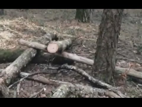 Martone (RC) - Ruba legname, arrestato dai carabinieri (22.02.17)