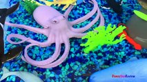 ANIMAL PLANET MEGA OCEAN TUB SHARKS DOLPHINS TURTLES SEAHORSE STARFISH OCTOPUS WHALE CRAB - UNBOXING-xw