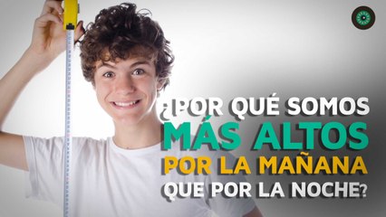¿Por qué somos más altos por las mañanas que por las noches?
