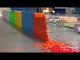 128,000 Dominoes topple over in only minutes - Breaks 2 Guinness World Records!