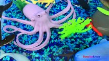 ANIMAL PLANET MEGA OCEAN TUB SHARKS DOLPHINS TURTLES SEAHORSE STARFISH OCTOPUS WHALE CRAB - UNBOXING-x