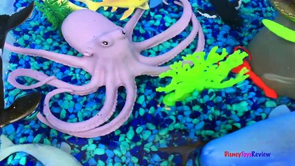 ANIMAL PLANET MEGA OCEAN TUB SHARKS DOLPHINS TURTLES SEAHORSE STARFISH OCTOPUS WHALE CRAB - UNBOXING-xw7X-zcYX