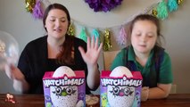Hatchimals Sneak Peek! Our Hatchimals are Ready To Hatch!-8s76oX