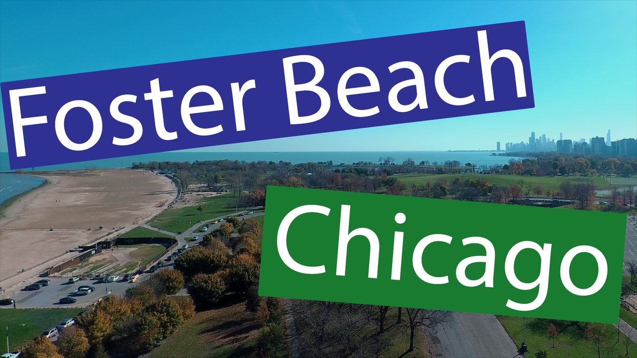 Foster Beach Meetup