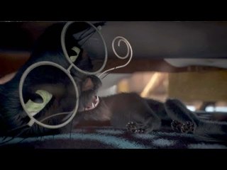 JACK ET LA MECANIQUE DU COEUR - Extrait # 4
