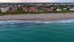 Florida Surfers Get a Surprise Visit From Multiple Sharks