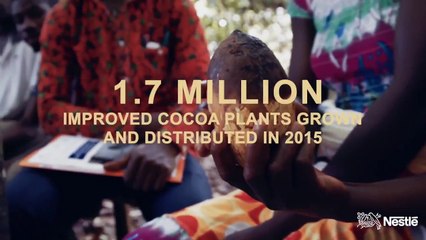 What Goes into a Chocolate Bar? | Creating Shared Value at Nestlé USA