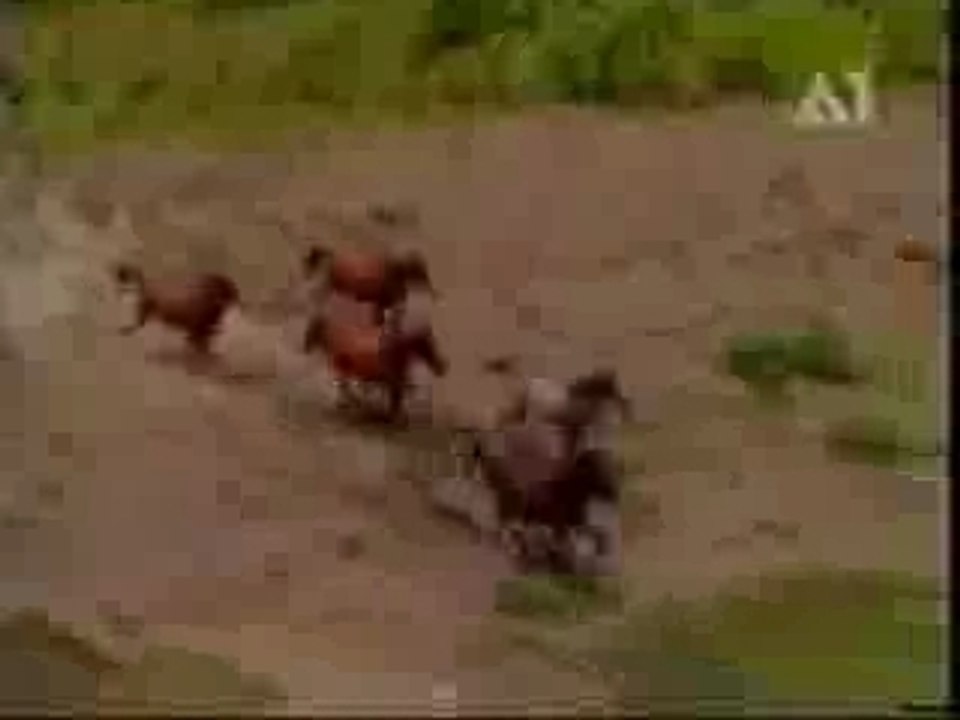 ISRAEL ISRAEL ISRAEL ISRAEL