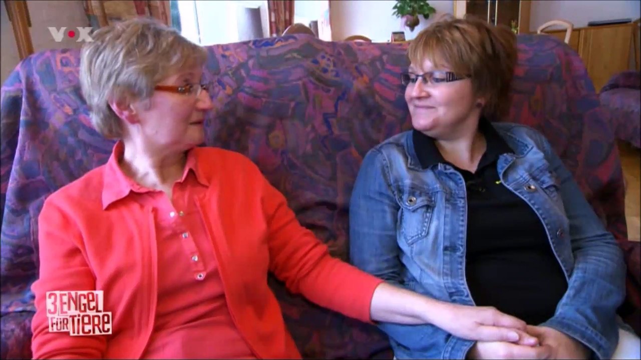 Der Katzennetz Profi bei 3 Engel für Tiere mit Katzenausguck