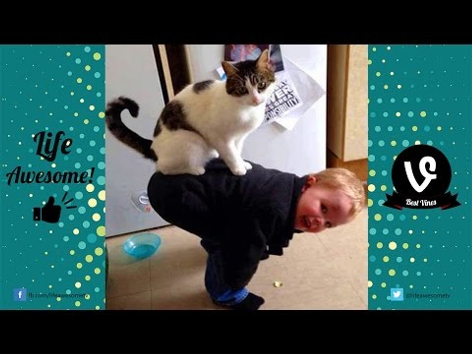 TRY NOT TO LAUGH or GRIN - Funny Kids Fails | Best Funny Dogs, Funny Cat Compilation 2016