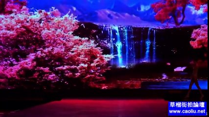 2015深圳内衣展之顶级流行趋势内衣秀1