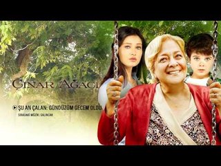 Çınar Ağacı - Gündüzüm Gecem Oldu (Official Audio)