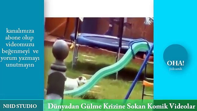 Dünyadan komik videolar Funny videos gülme krizine sokan videolar
