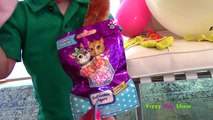 Shopkins Mystery Surprise Fun Basket Packs Blind Bags Playset Videos Opening Reviews