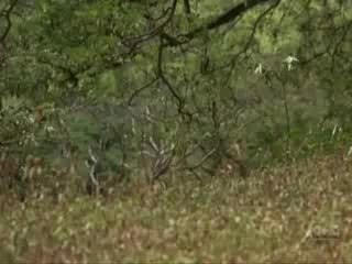 LOST: Promo saison 4