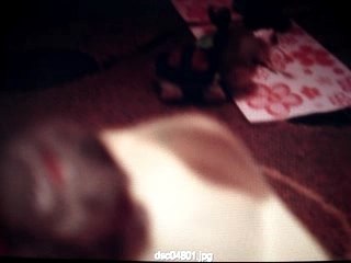 épisode 02 pkmn peluches