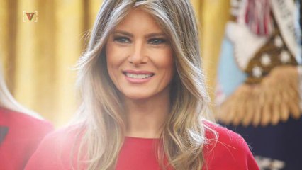 Anti-Bullying Activist Dan Savage Goes After Melania Trump