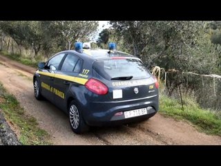 Capo d’Orlando (ME) - Agrumi, false fatture per ottenere finanziamenti europei (11.02.17)