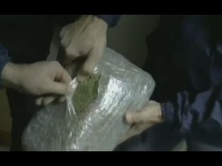 Brindisi – Sequestrati 400 chili di marijuana, due arresti (09.02.17)