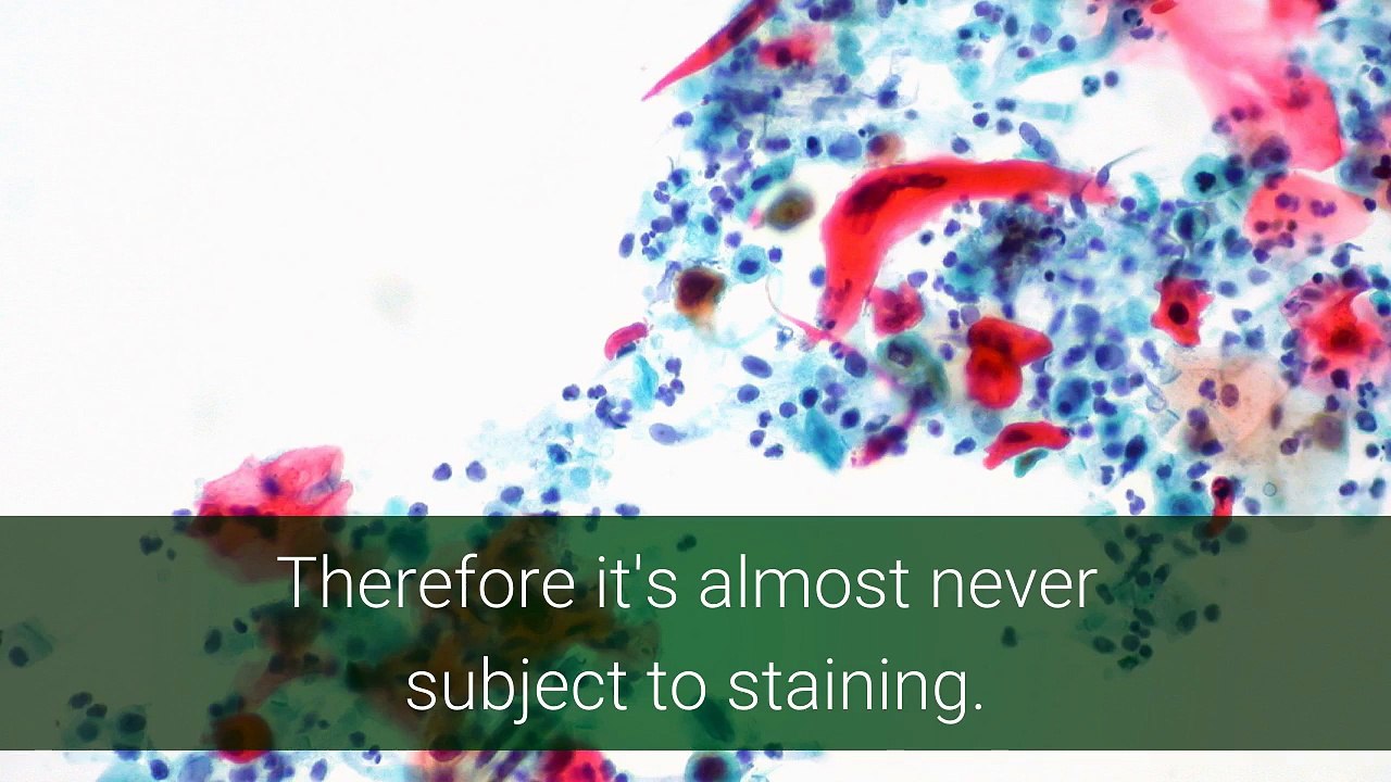 Fairfield tile cleaners