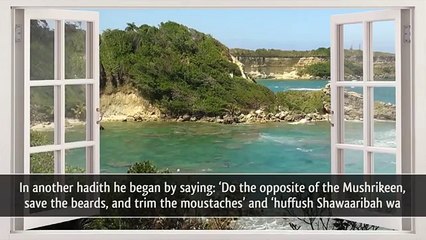 Men & The Beard - Islamic Advice HD Thought Provoking by Sheikh Dr. Muhammad Salah