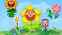 Flowers Cartoons Animation Singing Finger Family Nursery Rhymes for Preschool Childrens S
