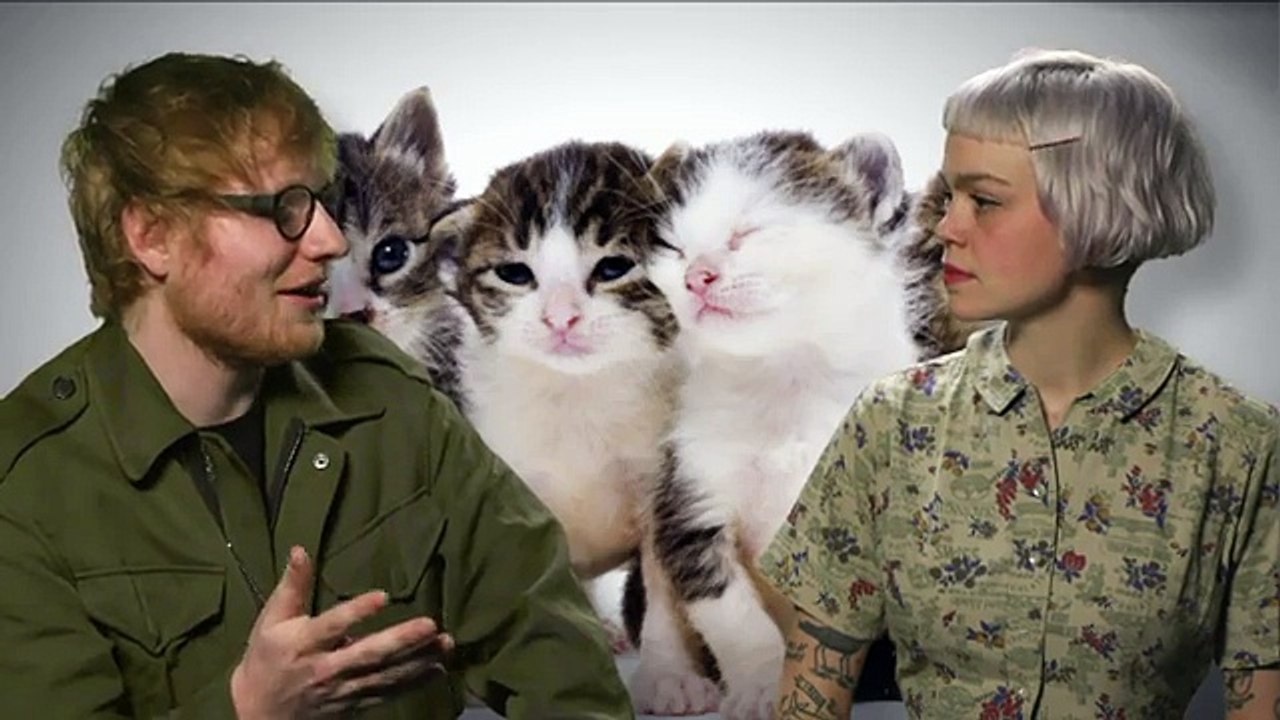 MTV Divide Interview