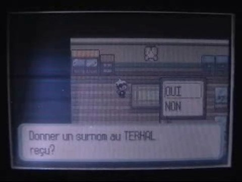 Comment faire des resets dans Pokemon