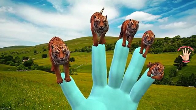 Colors Gorilla Dinosaurs Tiger Finger Family Songs For Babies Nursery Rhymes Collection