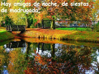 AMISTAD Y COMPROMISO