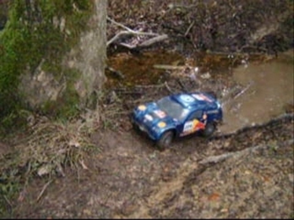 Dans les bois...Tamiya Rc