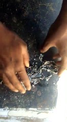 Wishing Happy Holi To People